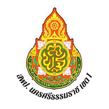 NST1 Logo